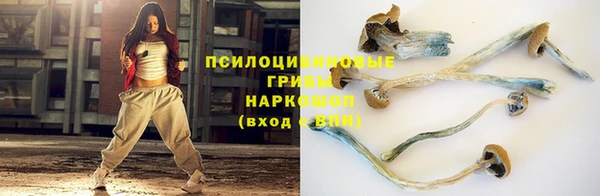 тгк Горно-Алтайск