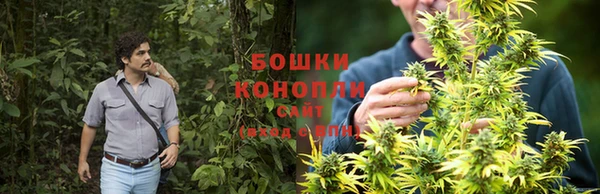 тгк Горно-Алтайск