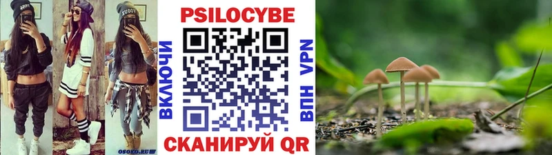 Купить где  Бабаево  Псилоцибиновые грибы прущие грибы 